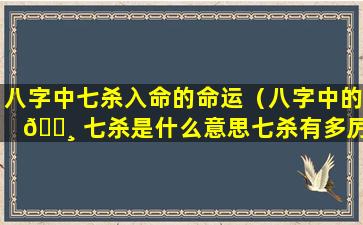 八字中七杀入命的命运（八字中的 🕸 七杀是什么意思七杀有多厉害）